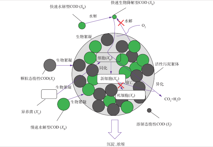 污水中有哪些有機(jī)物
